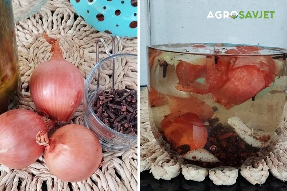 domaći sprej protiv opadanja kose