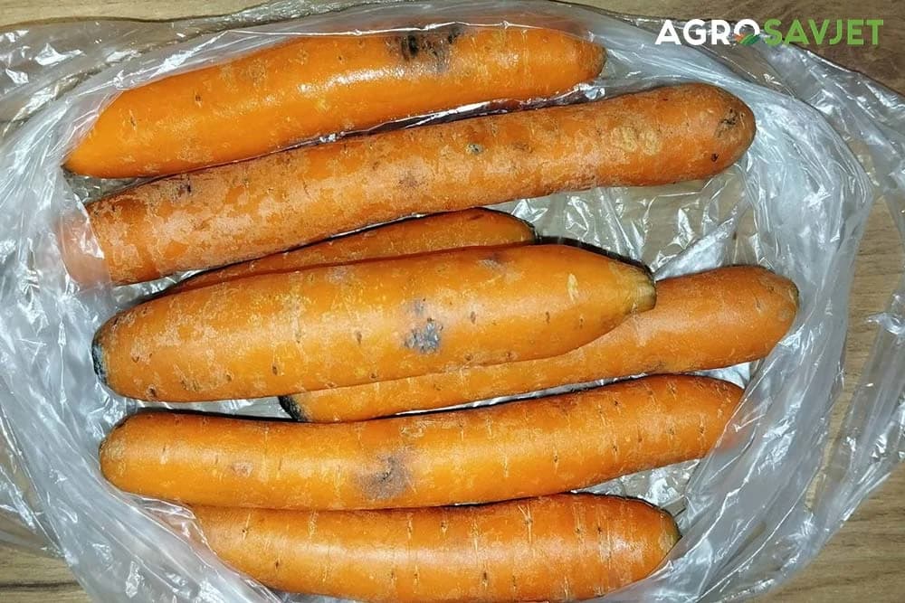 tamne mrlje na mrkvi