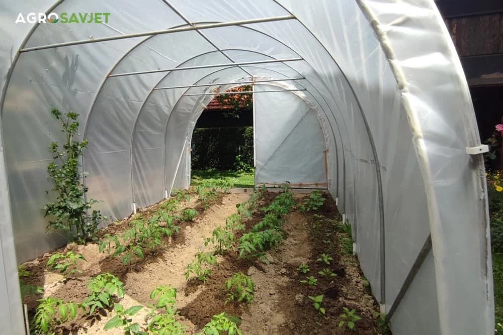 plastenička proizvodnja