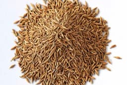 Začin KUMIN: od njega se spava kao beba, poboljšava varenje i povećava odbranu organizma