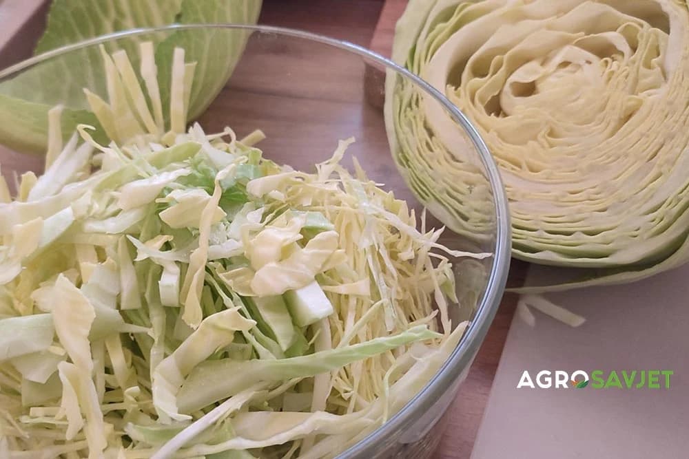 kupus salata