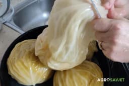 Kako prepoznati pokvareni kiseli kupus