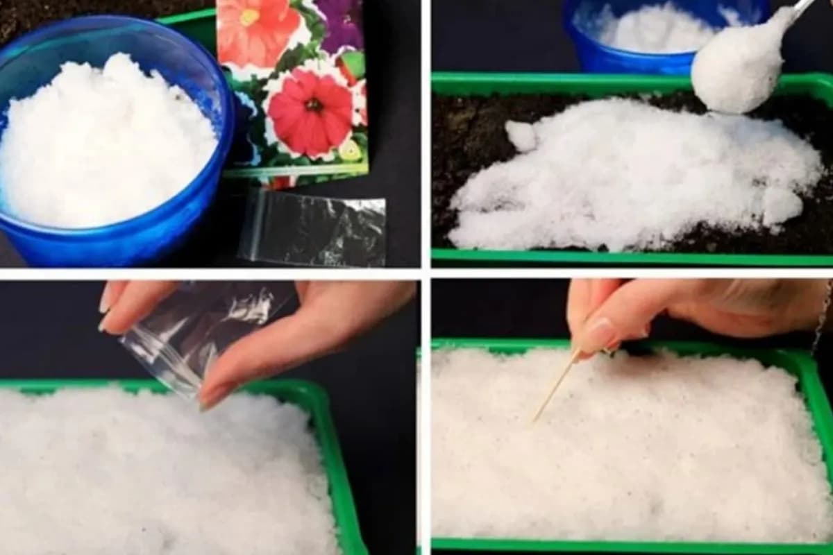 Iskoristite snijeg da lakše posijete sitno sjeme