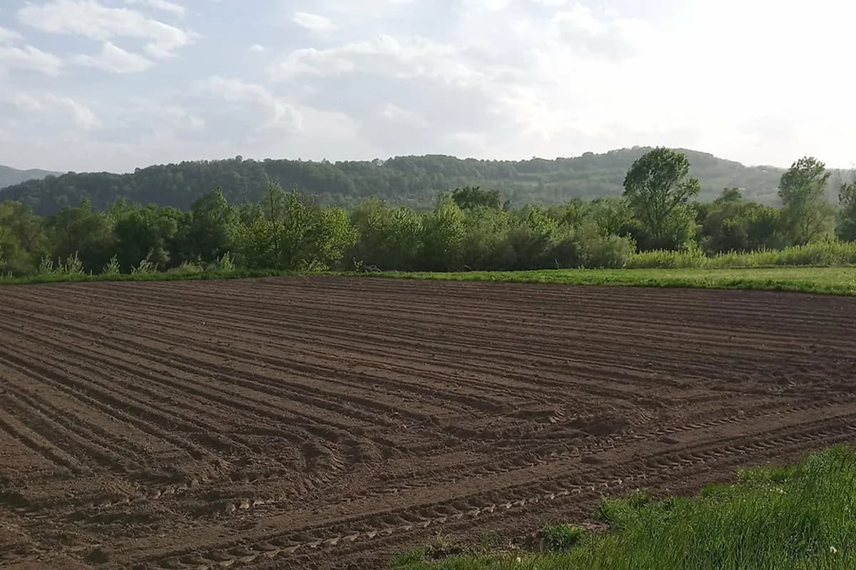 Šta je ugar i kako doprinosi očuvanju zdravlja zemljišta