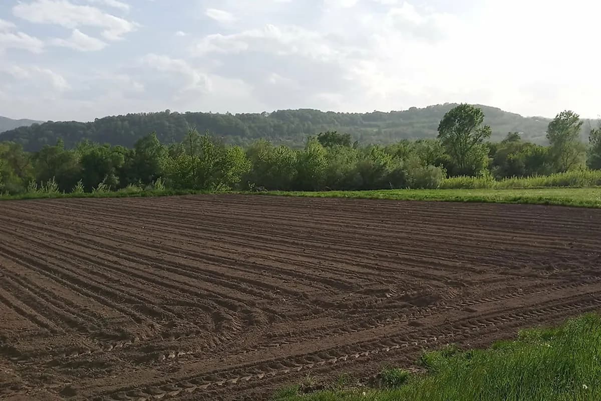 Šta je ugar i kako doprinosi očuvanju zdravlja zemljišta