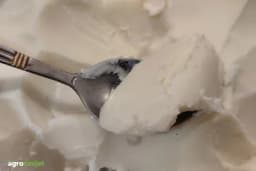 Mnogi tvrde da je svinjska mast zdravija od ulja: Da li je zaista bolja opcija?