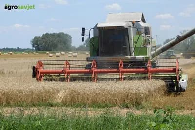 Stiže li najteža godina za ratare? Pšenica i kukuruz drastično gube na vrijednosti, prognoze nisu optimistične