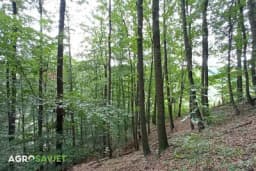 Poljoprivredne i šumske površine u Semberiji – Statistika