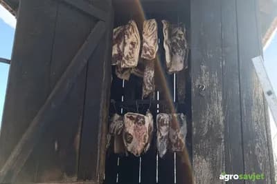 Najgora drva za dimljenje mesa – šta ne koristiti