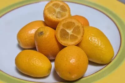Kumkvat – citrus koji se jede s korom i obiluje vitaminom C