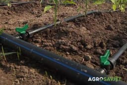 Koje su prednosti navodnjavanja kap po kap