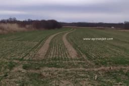 Zadružno zemljište propada umjesto da se obrađuje