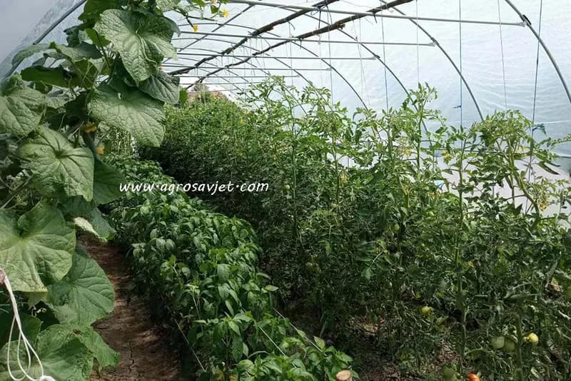 Clean Light Tehnologija