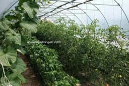 Clean Light Tehnologija