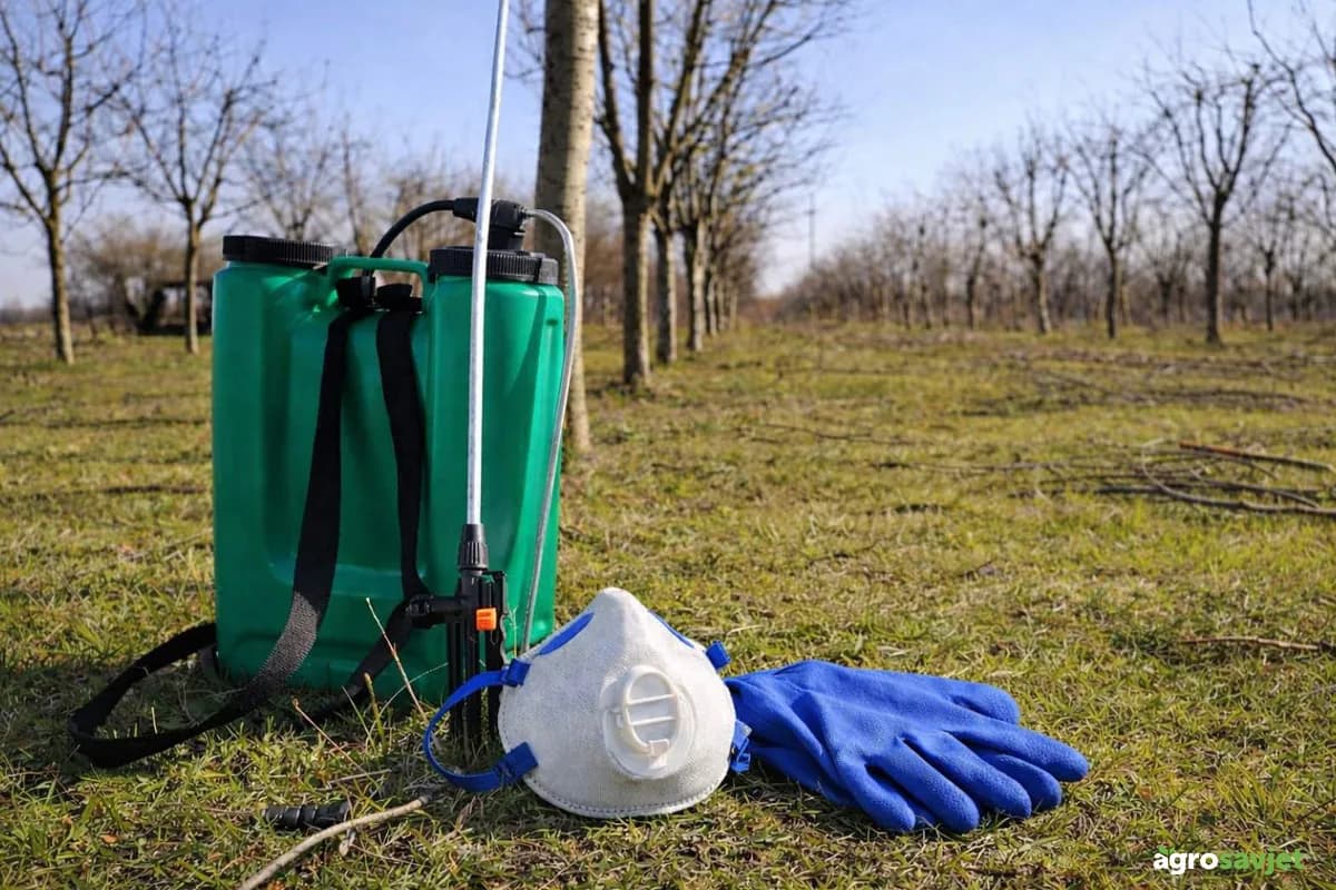 Bez ovog prskanja nema roda: Kada i čime obaviti prvo proljetno tretiranje voćaka