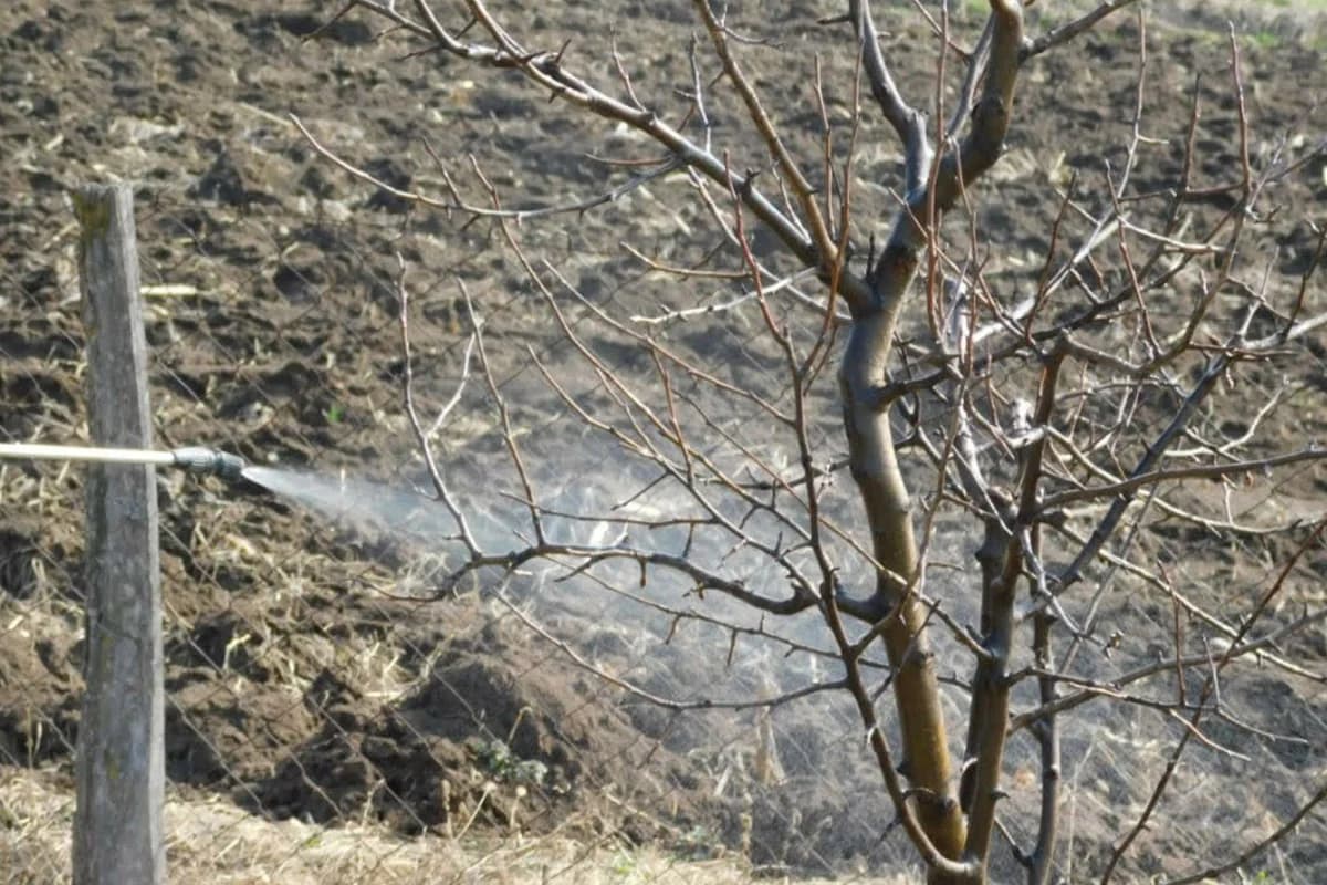 Zimsko tretiranje voćaka i vinove loze – kada, čime i kako postići najbolje rezultate
