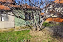 Smokva može narasti i do 10 metara i proširiti ogromnu krošnju: Evo gdje je nikako ne treba saditi