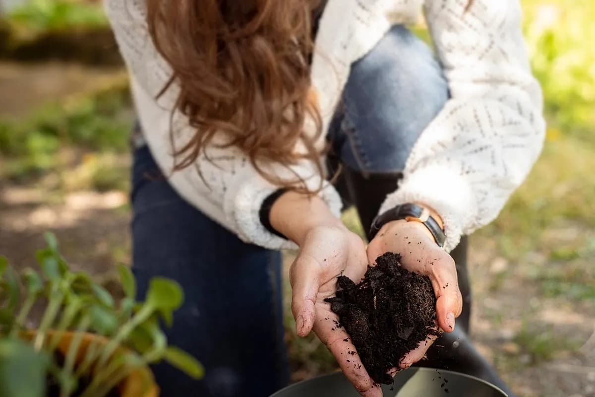 Sipajte ovo u zemljište i vaše biljke će bujati i postati izdržljivije