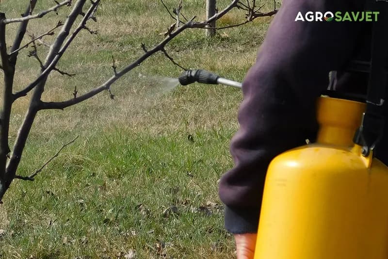 Karenca nije preporuka nego obaveza: Evo kada je voće i povrće bezbjedno za konzumaciju