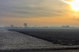 Mjere njege pšenice u zimskom periodu