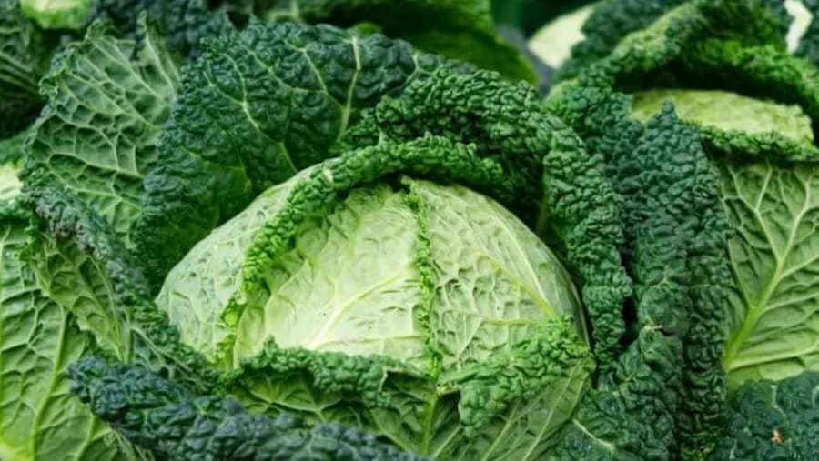 Ne smeta im hladnoća - Ovo je 7 vrsta povrća koje će bez problema izdržati zimu