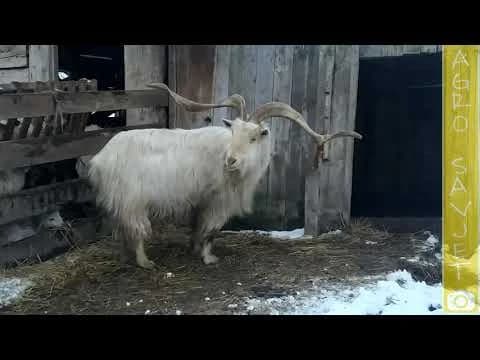 Etno Selo Stanišići