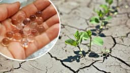 Hidrogel - spas protiv suše u bašti!