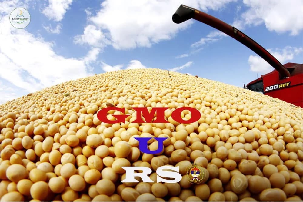 U Semberiji utvrđeno prisustvo GMO soje