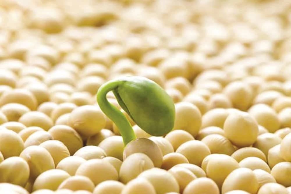 Nove mogućnosti za bh. poljoprivrednike - otkup zagarantovan !