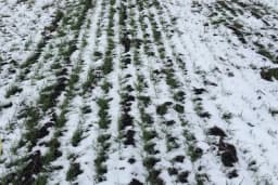 Meteorolozi objavili kada nam stiže snijeg