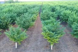 Gdje je profit u poljoprivredi?