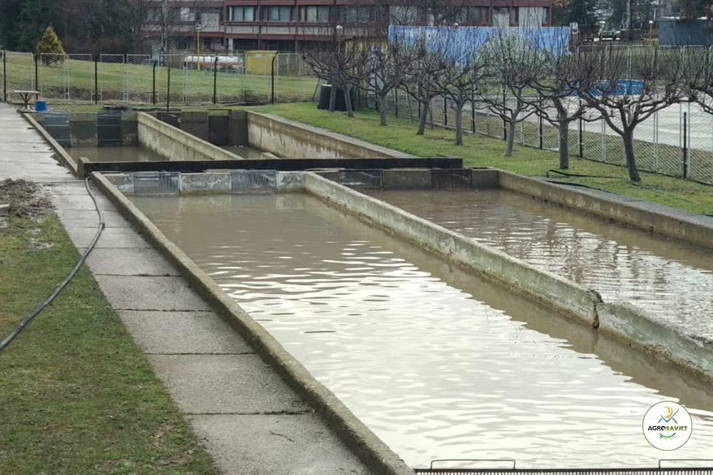 Ribarstvo i akvakultura u Bosni i Hercegovini