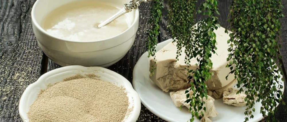 Prihranite vaše cvijeće KVASCEM