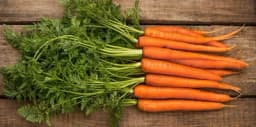 Kako se mogu upotrebiti listovi mrkve