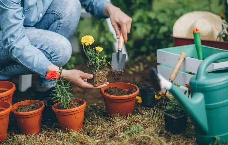 Majski radovi u bašti i dvorištu