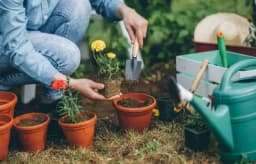 Majski radovi u bašti i dvorištu