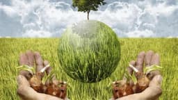 BIODINAMIČKA poljoprivreda zaživjela i kod nas!