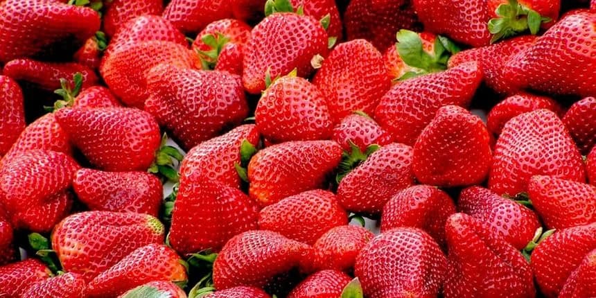 Razmislite dvaput prije kupovine jagoda: Omiljena voćka je prepuna pesticida