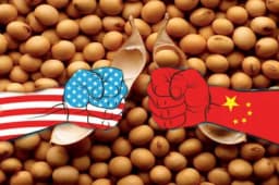 Trgovinski rat - Kina suspendovala kupovinu američke soje