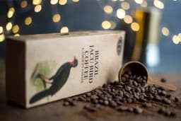 Koliko biste platili za kafu od ptičjeg izmeta