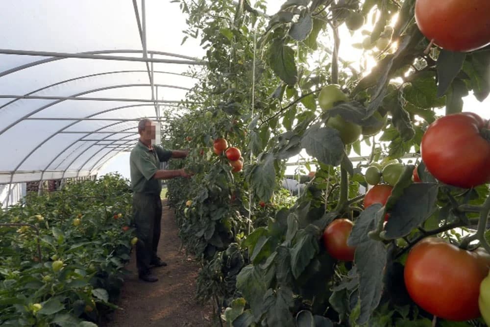 U radionici “Banjalučke gradske bašte” na redu izrada komposta
