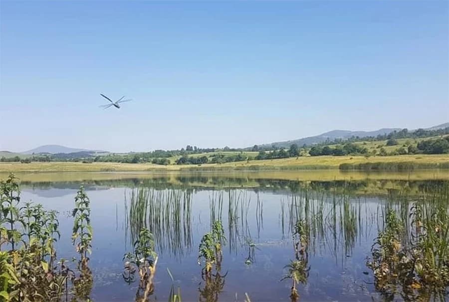 NETAKNUTI BISER Na mjestu rudnika nastala močvara s više od 200 vrsta ptica i 122 vrste biljaka