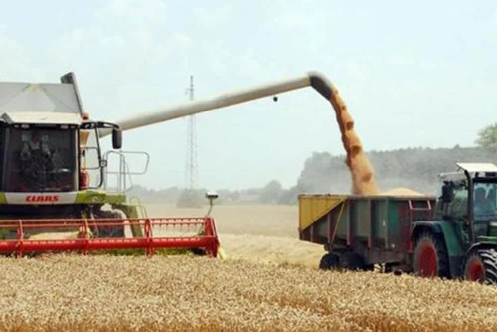Preporučena otkupna cijena pšenice zavisi od cijene u Srbiji, a ona najskuplja u regionu
