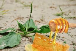 Med i bokvica za savršeno zdravlje