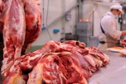 Brazilska govedina mogla bi prisjesti bh. stočarima