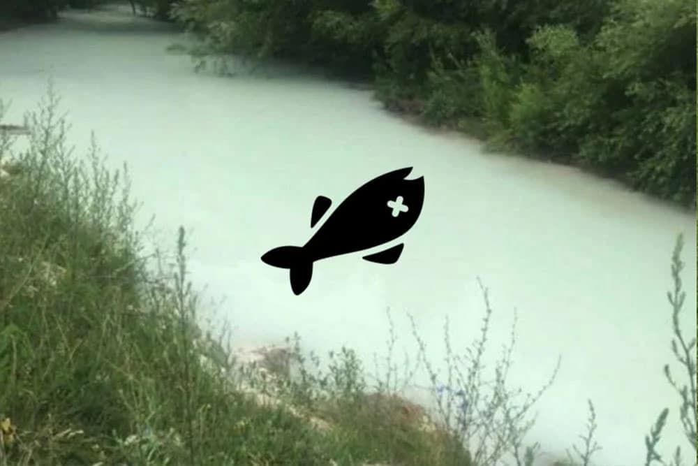 Krivična prijava protiv TE "Pljevlja" i četiri osobe zbog pomora ribe