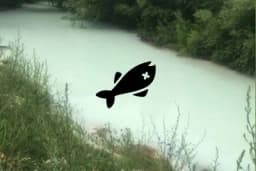 Krivična prijava protiv TE "Pljevlja" i četiri osobe zbog pomora ribe