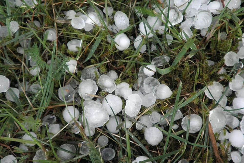 Savjeti kako ublažiti štetu od grada