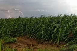 Formiraju se komisije za procjenu šteta od nevremena