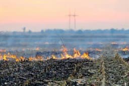 Paljenjem žetvenih ostataka uništavate plodnost zemljišta